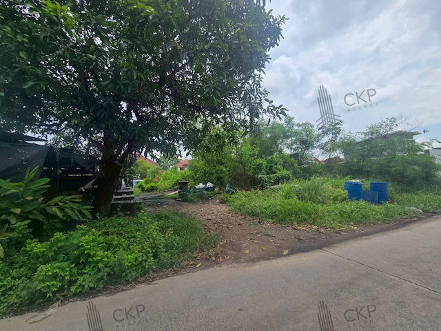 picture Vacant land in Soi Panthongniwet 1, Lam Luk Ka-Pathum, size 200 sq wa, near Lam Luk Ka Road, near shopping malls - 6/10