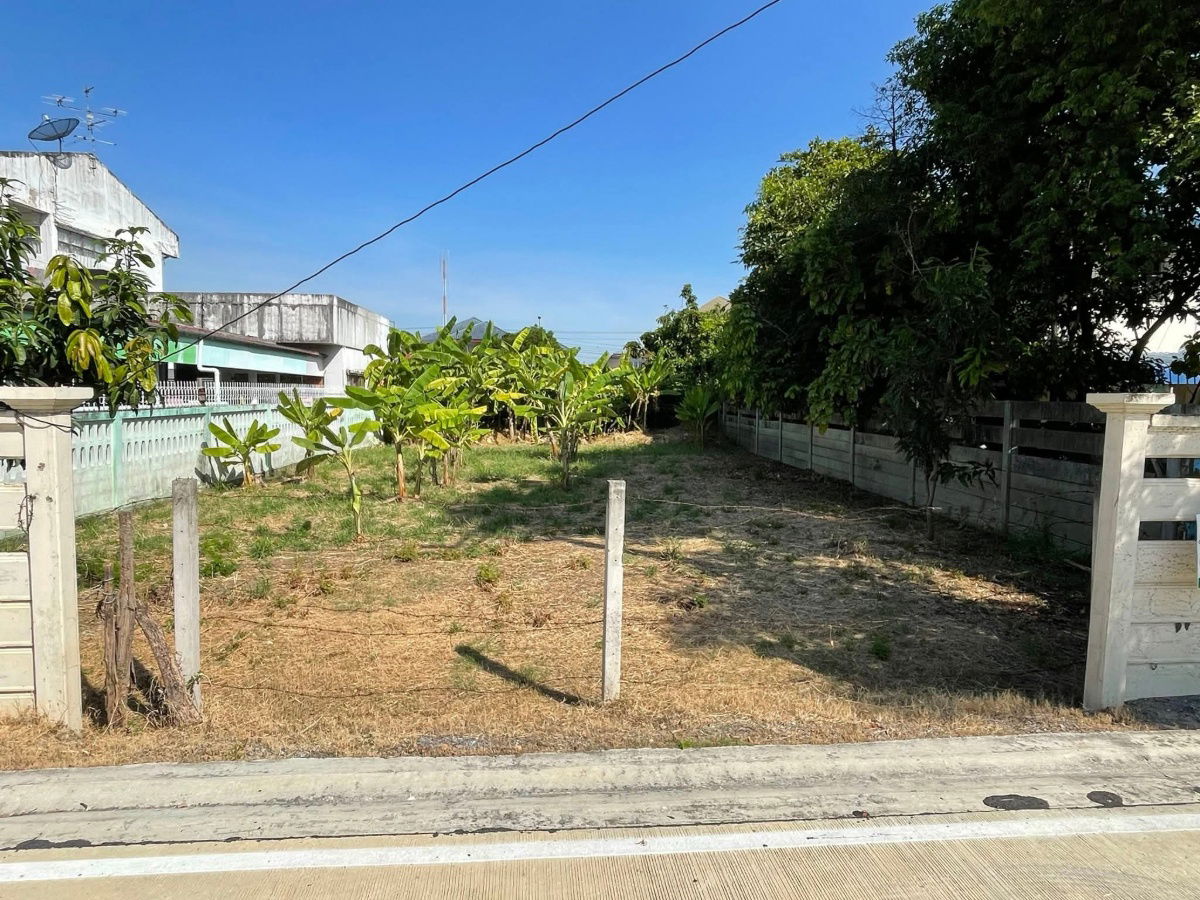 รูป K'Amm190925  ขายที่ดินเปล่า ถมแล้ว 100 ตร.วา  ซอย ท่าอิฐ นนทบุรี (ไทรม้า 3 แยก 1 ) - รูปที่ 3/5