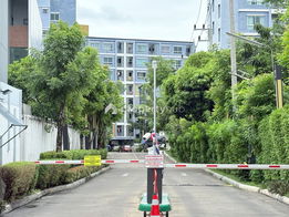 รูป August Charoenkrung 80 - รูปที่ 2/11