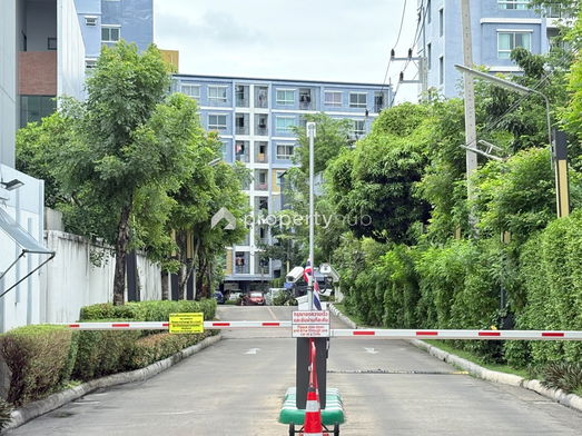 รูป August Charoenkrung 80 - รูปที่ 2/11