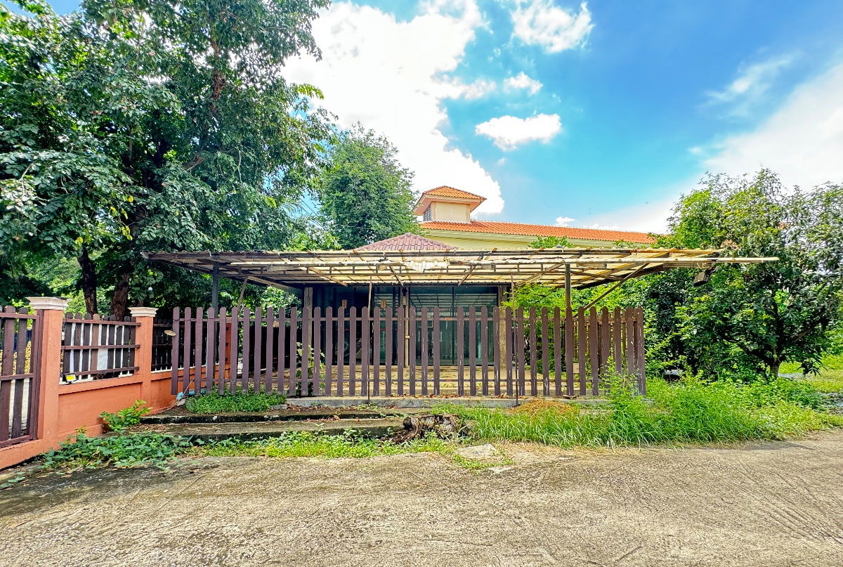picture For Sale:  Land 241.1 square wah., vegetable garden 43, Soi Atsawaphichet 10 - 6/8