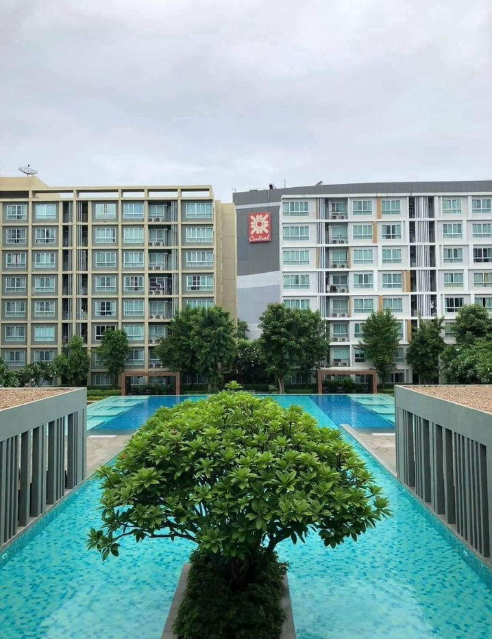 picture 🏢 For Rent – Dcondo Sign (Building D) — Pool & Garden View | Next to Central Festival - 12/12