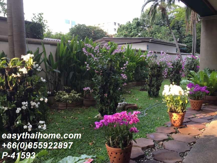 picture P-41593 Condo for rent Young Place Grand Le Gardine Paholyothin 37 fully furnished (Confirm again when visit).  - 2/13