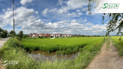 Land in Lam Luk Ka, Pathum Thani, over 30 rai (48,000 sq m.) 🌳 Beautiful land, good location, suitable for investment ✨