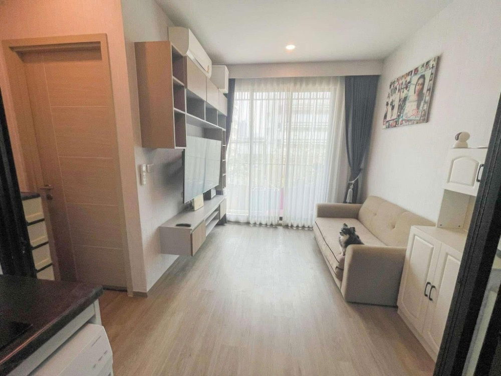 รูป (18578) Brixton Pet & Play Sukhumvit 107 - รูปที่ 3/6