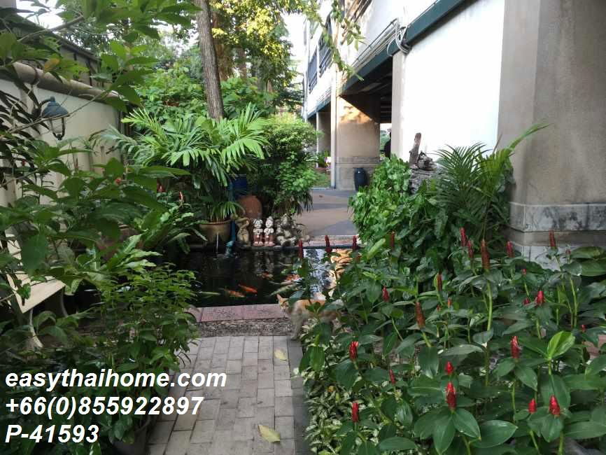picture P-41593 Condo for rent Young Place Grand Le Gardine Paholyothin 37 fully furnished (Confirm again when visit).  - 3/13