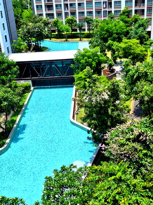 Condos for rent 700 Year Sports Arena Chiang Mai : For rent: Dcondo Ping, Studio room, 4th floor, 1 year contract ☎️(Tuk) 098-396-3626