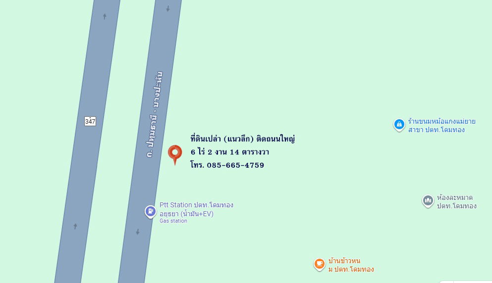 รูป ขายด่วน‼️ ที่ดินติดถนนใหญ่ ติดปั๊ม ปตท. อ.เมือง อยุธยา สร้างทำธุรกิจก็ได้/เก็บไว้เก็งกำไรก็ดี - รูปที่ 3/4