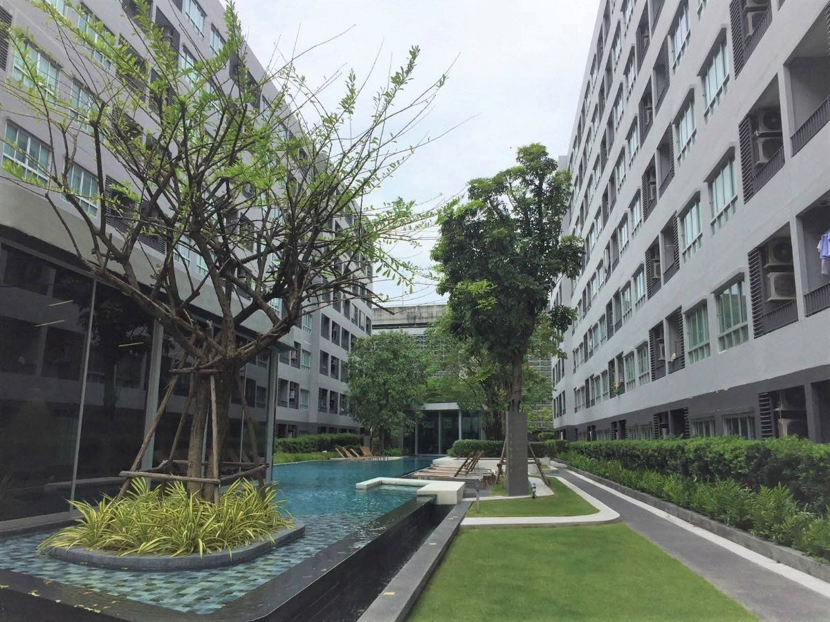 รูป WS4056 🌿 Elio สุขุมวิท 64 | คอนโด Low Rise 8 ชั้น 🌿 กล้ BTS ปุณณวิถี เพียง 9,500 บาท/เดือน   - รูปที่ 18/20