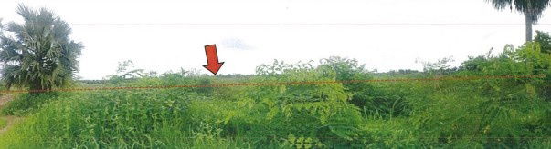 รูป ขายที่ดินเปล่า ขาย!! ที่ดินเปล่าติดถนนสายศรีมหาโพธิ-ศรีมโหสถ(ทล.3070) - รูปที่ 3/10
