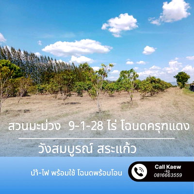 ขายที่ดิน : ขายที่ดินพร้อมสวนมะม่วง ราคาสุดคุ้ม วังสมบูรณ์ สระแก้ว 