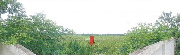 รูป ขายที่ดินเปล่า ขาย!! ที่ดินเปล่าติดถนนสายศรีมหาโพธิ-ศรีมโหสถ(ทล.3070) - รูปที่ 4/10