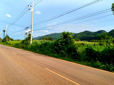 ที่ดิน ปากช่อง โคราช : ราคาร้อน ขายถูก ที่ดินเขาใหญ่ เขาวง หนองน้ำแดง ปากช่อง 6.5 ไร่ ติดลาดยาง วิวเขาสวยล้อม ใกล้ธนะรัชต์ มอเตอร์เวย์ แม็คโคร ใกล้อุทยาน 0879074045