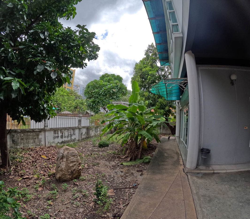 รูป ให้เช่า บ้าน สุขุมวิท 65 บ้านเดี่ยว 2 ชั้น 4 ห้องนอน 208 ตรว 365 ตรม พื้นที่เยอะ ทำออฟฟิศได้ ใกล้ BTS เอกมัย พระโขนง ทองหล่อ ปรีดี : MJ25R-020 - รูปที่ 3/32