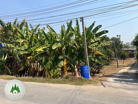 ขายที่ดิน ม.6 ต.คลองตาคต อ.โพธาราม จ.ราชบุรี