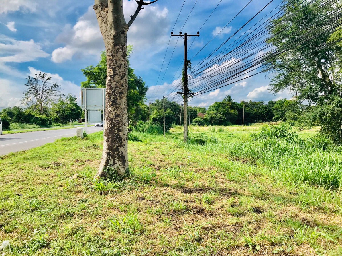 รูป ขายที่ดิน ติดถนนมิตรภาพ 75 ไร่ ผังสีม่วง ฝั่งขาเข้ากรุงเทพฯ จ.ขอนแก่น เหมาะทำโรงงาน คลังสินค้า ใกล้ท่าเรือบก dry port น้ำไม่ท่วม - รูปที่ 2/12