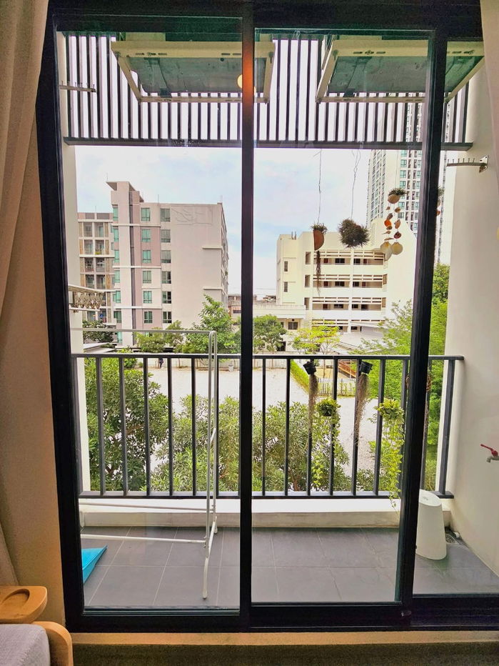 picture  (Brixton Pet & Play Sukhumvit 107) - 7/19