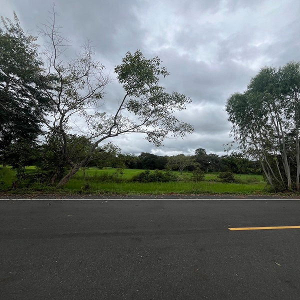 รูป ขายที่ดินทำเลสวย ติดถนน จังหวัดอำนาจเจริญ 6 ไร่ 2 งาน 21 ตารางวา ในราคา 1,200,000 บาท (รวมค่าโอนกรรมสิทธิ์) - รูปที่ 4/8