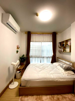 Condos for rent : The Kith Sukhumvit 113The Kith Sukhumvit 113