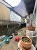 listing thumbnail image 16