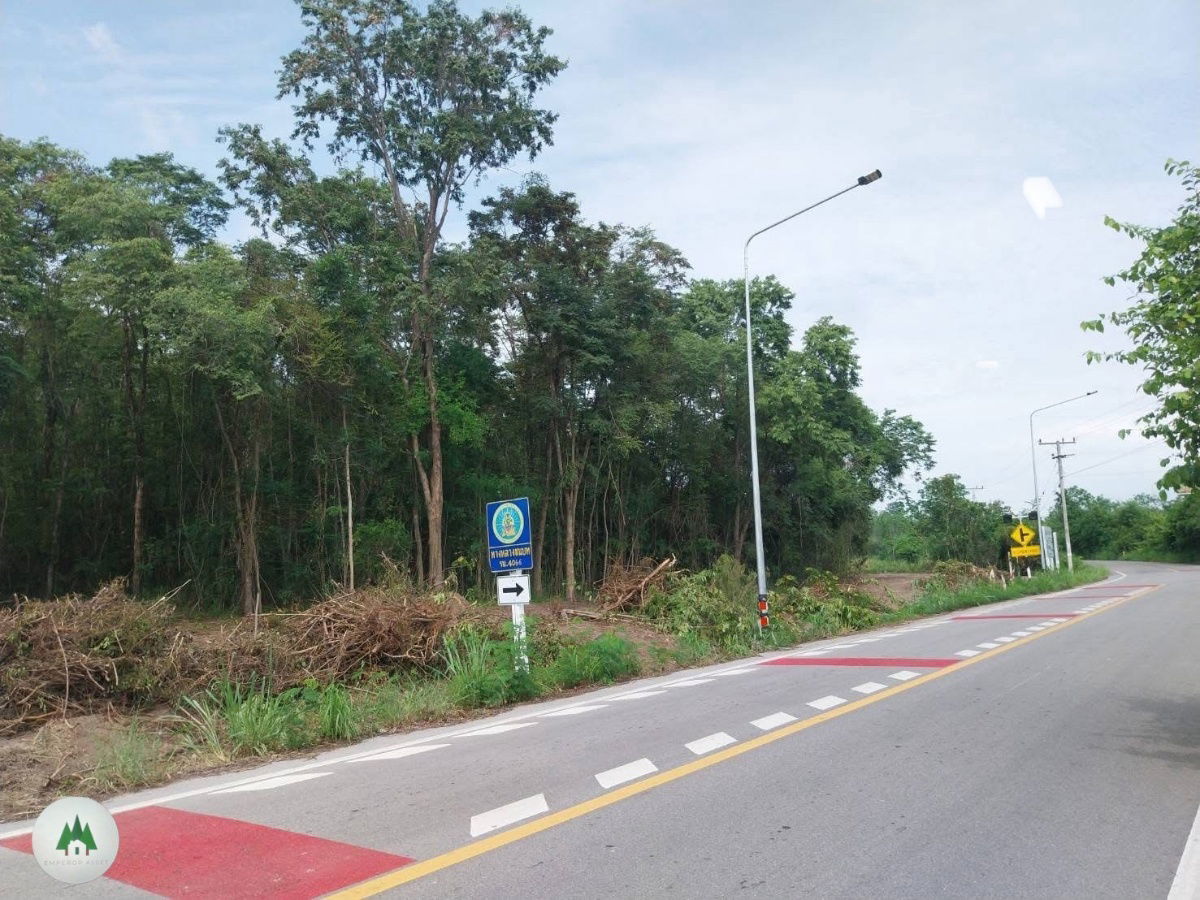 รูป ขายที่ดิน พร้อมไม้ประดู่ เนื้อที่ 27 ไร่ ราคาไร่ละ 270,000 บาท ต.ท่าเคย อ.สวนผึ้ง จ.ราชบุรี - รูปที่ 9/9