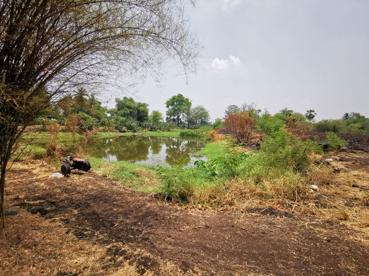 รูป ขายที่ดินสวย แปลงใหญ่ครุฑแดง ติดถนนหน้ากว้าง อ.โคกสำโรง จ.ลพบุรี 280ไร่ สาธารณูปโภคพร้อม สื่อสารถึง ใกล้ชุมชม คมนาคมสะดวก ติดแหล่งน้ำ - รูปที่ 5/11