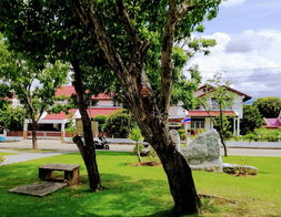 Project Garden home village  Picture - 4/8