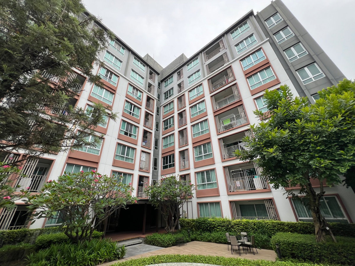 picture ❇️For rent: D Condo Ping, 8th floor, 37 sq m. Mountain view, north-facing balcony. ☎️064-792-4426 (Ben). - 20/20
