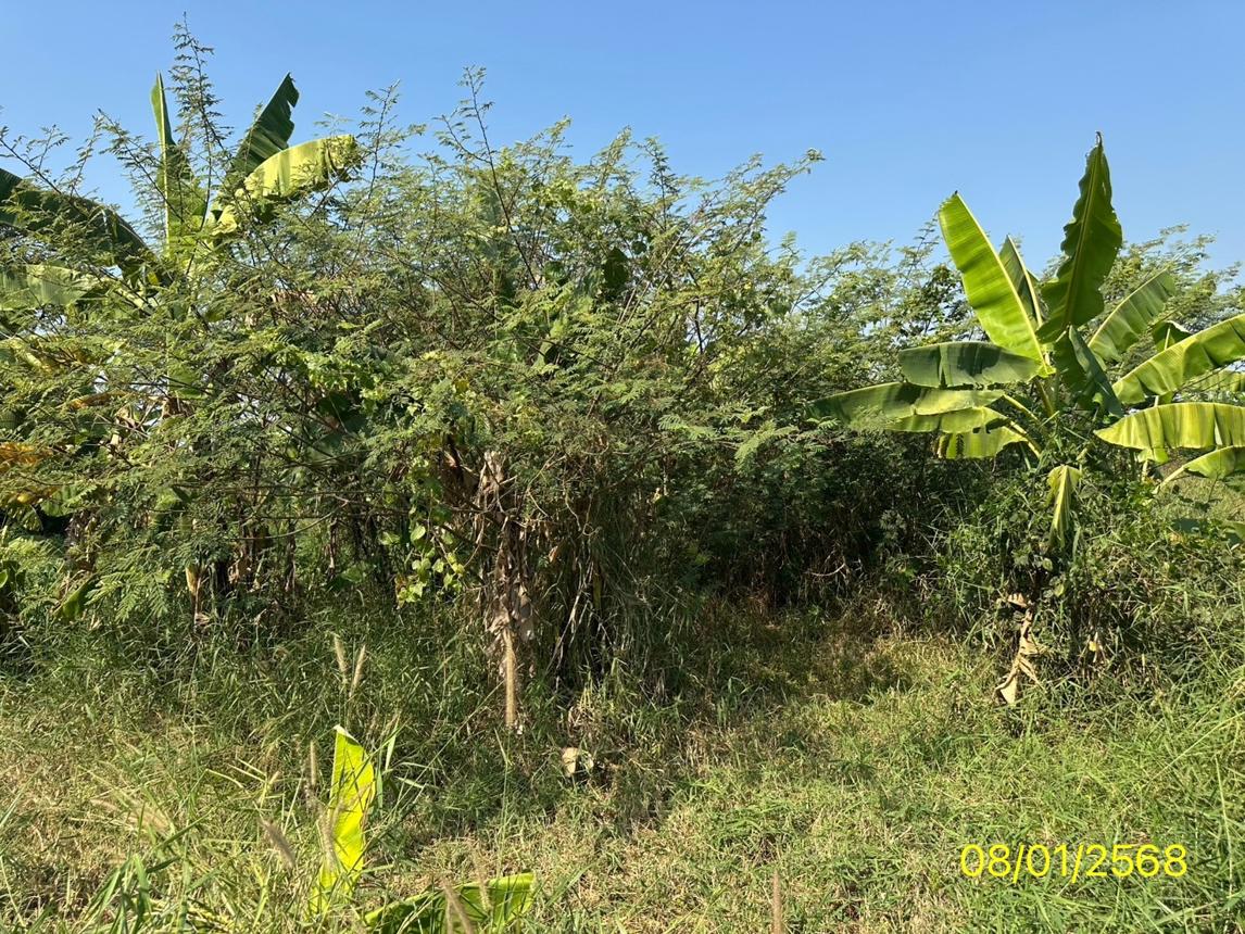 รูป ที่ดินว่างเปล่า สำหรับขาย - ท่าอิฐ ปากเกร็ด นนทบุรี - รูปที่ 21/42