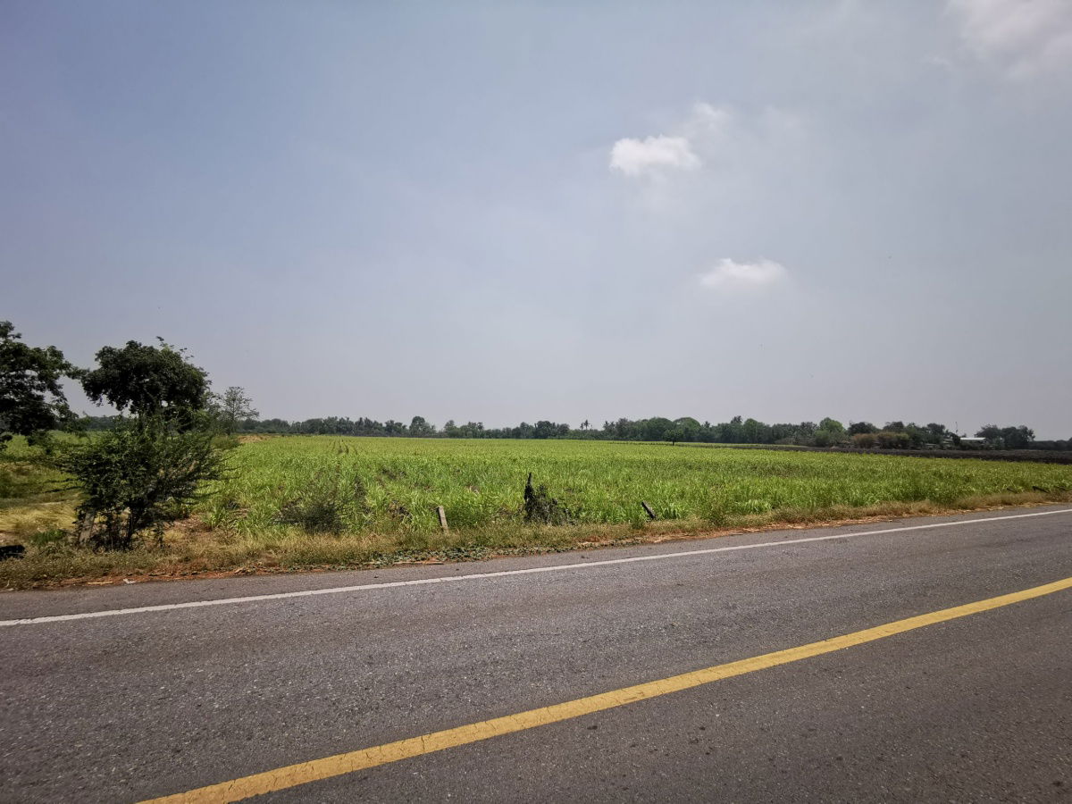 รูป ขายที่ดินสวย แปลงใหญ่ครุฑแดง ติดถนนหน้ากว้าง อ.โคกสำโรง จ.ลพบุรี 280ไร่ สาธารณูปโภคพร้อม สื่อสารถึง ใกล้ชุมชม คมนาคมสะดวก ติดแหล่งน้ำ - รูปที่ 2/11