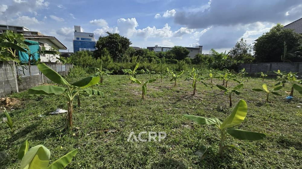 รูป ขายที่ดินเปล่าถมแล้ว ทำเลทอง ศรีนครินทร์ 42 ซอยสุภาพงษ์ 1 แยก 8 - รูปที่ 4/7
