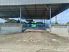 listing thumbnail image 44