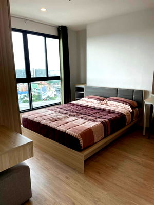 คอนโดให้เช่า : ให้เช่า ไอดีโอ โอทู (IDEO O2)  LINE ID : @condo24 (มี@ด้วย)