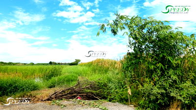 Land for sale Suwannaphum International Airport : Land for sale in Chalong Krung, Bangkok. Price reduced ❗