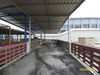 listing thumbnail image 19