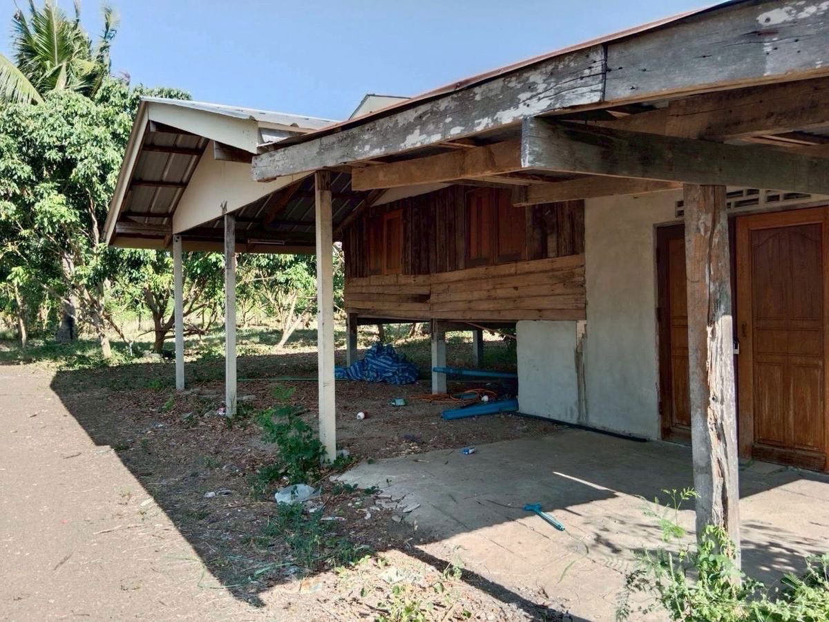 รูป ขายด่วน! สวนลำใยพร้อมเก็บเกี่ยว 7 ไร่ หลังที่ว่าการอำเภอวังสมบูรณ์ จ.สระแก้ว - รูปที่ 5/8