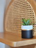 listing thumbnail image 10