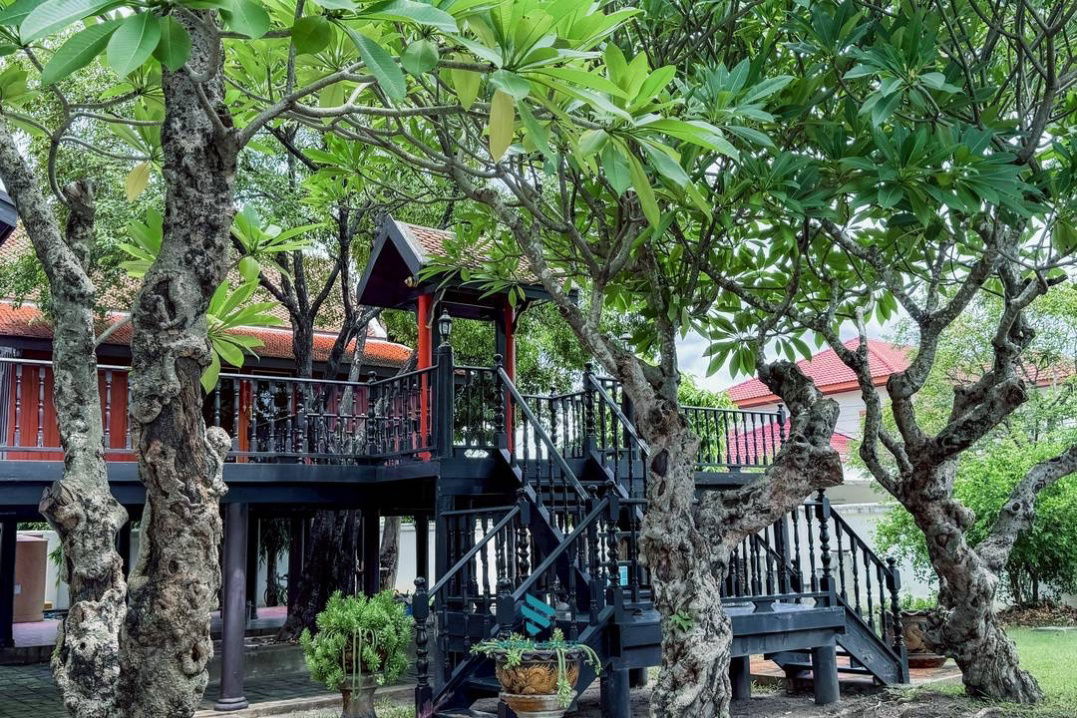 รูป ขายที่ดิน+บ้านเรือนไทย 2 ไร่กว่า ปากเกร็ด ,เมืองทอง ใกล้ทางด่วน  - รูปที่ 9/18