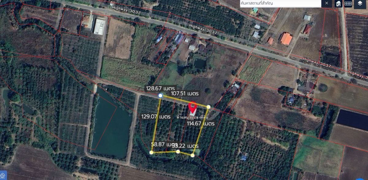 รูป ขายด่วน! สวนลำใยพร้อมเก็บเกี่ยว 7 ไร่ หลังที่ว่าการอำเภอวังสมบูรณ์ จ.สระแก้ว - รูปที่ 8/8