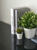 listing thumbnail image 15