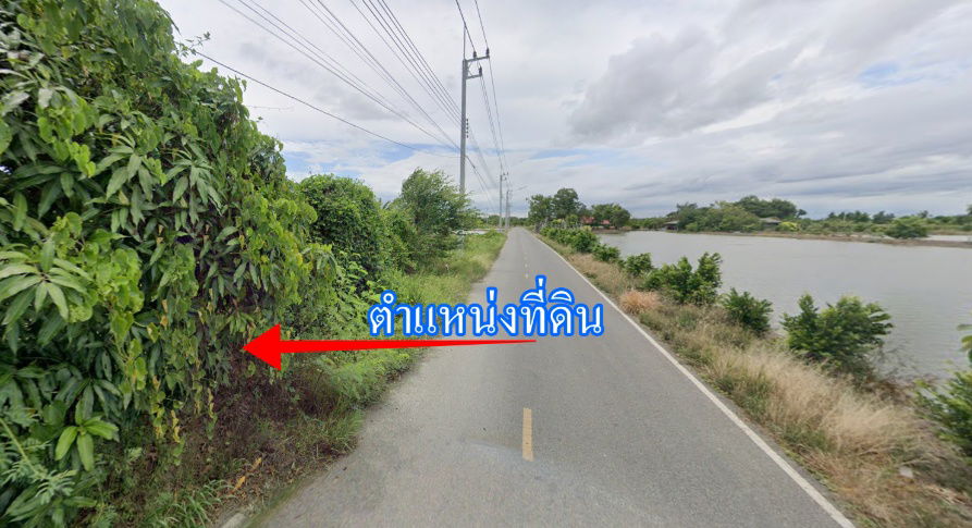 รูป  ขายที่ถมแล้วบางส่วน  2 ไร่ ติดถนนสองด้าน  ต.บ้านโพธิ์ อ.บ้านโพธิ์ จ.ฉะเชิงเทรา - รูปที่ 2/2