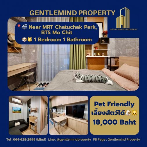 ☀️💎🌍 Rent : M Jatujak Pet Friendly เลี้ยงสัตว์ได้ 🐶🐱 | Gentlemind Property