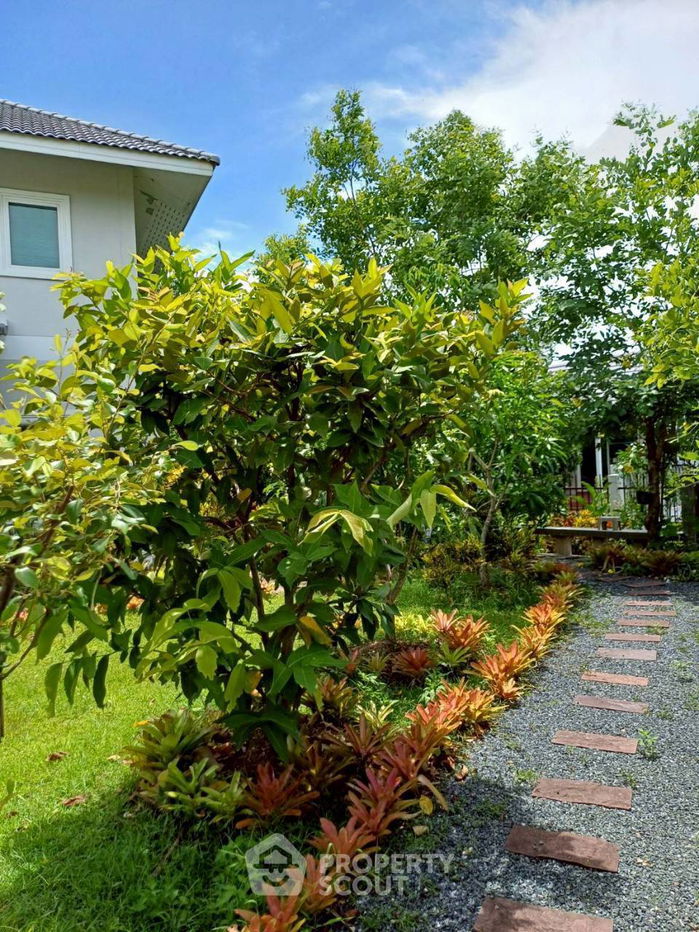 รูป บ้าน 3-ห้องนอน ที่ หมู่บ้านเวียงดอย ใน เชิงดอย (ID 2334531) - รูปที่ 4/6