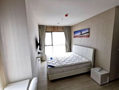 Condos for rent : Condo for Rent at Life Sukhumvit 48 ()