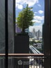 listing thumbnail image 8