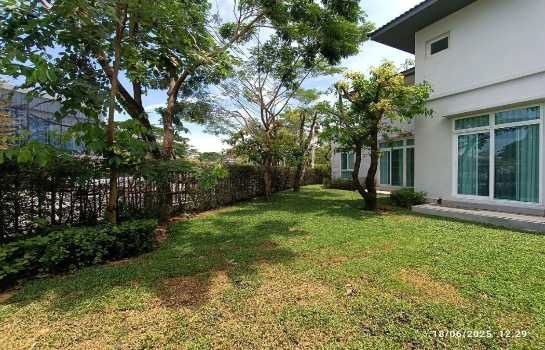 บ้านเดี่ยวให้เช่า : ให้ เช่า บ้านเดี่ยวมัณฑนา บางนา กม.7 Mantana Bangna Km.7 - 124 ตรว. 335 ตรม. 4 นอน 5 น้ำ 2 ชั้น