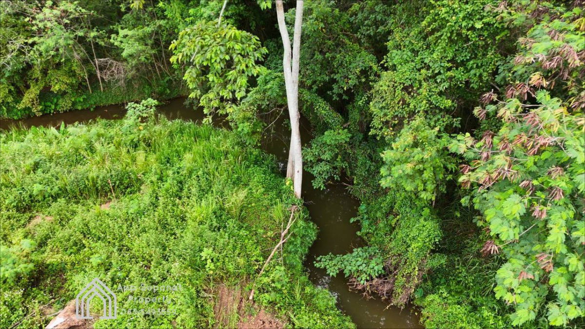 รูป ขายที่ดินเขาใหญ่ ถ.คลองดินดำ ต.หมูสี อ.ปากช่อง จ.นครราชสีมา - รูปที่ 9/11