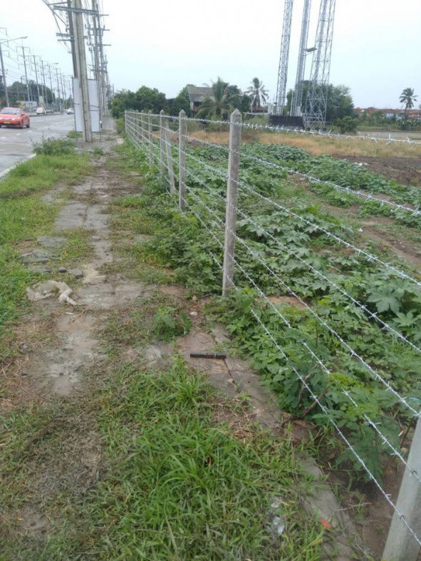 รูป ขายที่ดินถมแล้ว ทำเลดีติดถนนใหญ่ บางกรวย-ไทรน้อย  ขนาด 5 ไร่ เหมาะทำธุรกิจ-ลงทุนโครงการ - รูปที่ 4/7