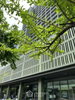 listing thumbnail image 12