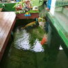 listing thumbnail image 4